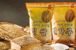 韩式荞麦